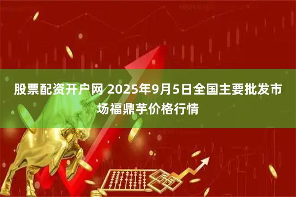 股票配资开户网 2025年9月5日全国主要批发市场福鼎芋价格行情