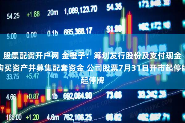 股票配资开户网 金橙子：筹划发行股份及支付现金购买资产并募集配套资金 公司股票7月31日开市起停牌