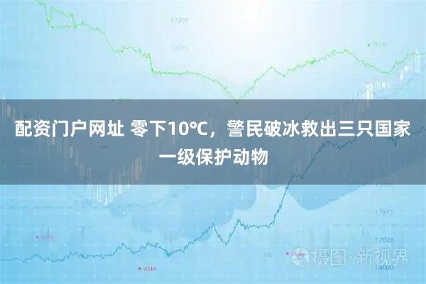 配资门户网址 零下10℃，警民破冰救出三只国家一级保护动物